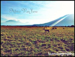 Berlibur ke Afrika di Situbondo, Jawa Timur