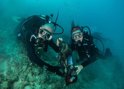 Yuk! Ikut Gerakan Terbesar Bersih-bersih Kepulauan Seribu