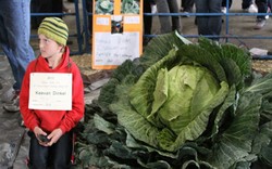 Bocah Umur 10 Tahun Berhasil Memenangi Kontes Kol Raksasa