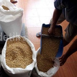 Dituduh Lakukan Kartel Kedelai, Ini Tanggapan Importir