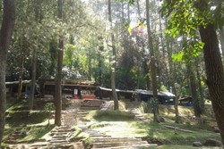 Taman Hutan Raya Juanda, Bikin Bandung Tambah Segar!