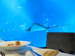 Ocean Restaurant, Serasa Makan di Dalam Samudera