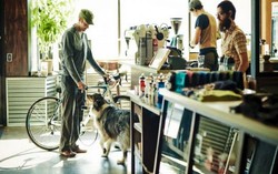 Bike Shop Cafe, Kafe Sekaligus Bengkel Sepeda yang Makin Populer di Amerika