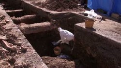 Fakta Mengejutkan, Leluhur Raja Inggris Idap Cacingan