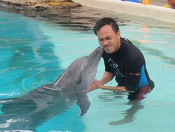 Dicium Lumba-lumba di Singapura