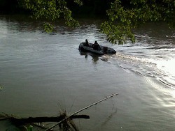 Lumba-lumba yang Nyasar di Sungai Gagal Digiring ke Laut