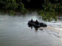 Lumba-lumba Nyasar ke Sungai di Langkat Sumut 