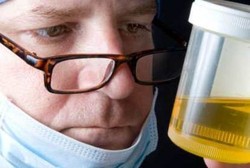 3.000 Lebih Senyawa Kimia Ditemukan dalam Urine