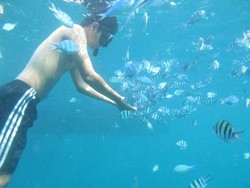 Cantiknya Karimunjawa, dari Pantai Sampai Bawah Laut