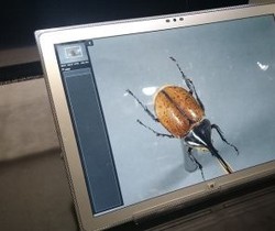 Panasonic Toughpad, Tablet Ultra HD Pertama