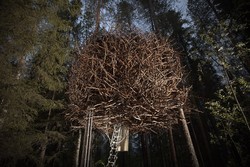Sarang Burung? Bukan, Ini Hotel Keren di Swedia