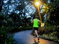 Menjelang Malam di Taman Kota Singapura