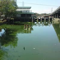 Warga Bozem Moro Krembangan Disebut Akrab dengan Lomba Lingkungan