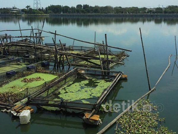 Perubahan Wajah Bozem Moro Krembangan