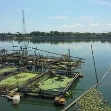 Inilah Wajah Bozem Moro Krembangan yang Dicap Kementerian PU Kumuh