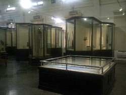 Tanpa Alarm, Beginilah Kondisi Keamanan di Museum Gajah