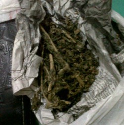 Pengendara Motor Kedapatan Bawa Ganja Saat Razia di Kebayoran Baru