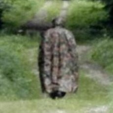 Sosok Misterius Hantui Hutan Swiss, Warga Ketakutan!