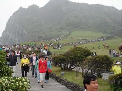 Liburan ke Jeju Island, Bebas Visa Lho!
