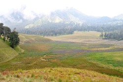 Oro-oro Ombo & 5 Lembah Gunung Tercantik di Indonesia