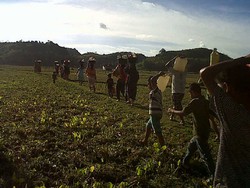 Terjadi Puluhan Tahun, Warga Desa Ini Long March 10 Km demi Air Bersih
