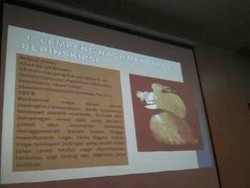  Sebelum Koleksi Emas Hilang, Museum Gajah Dipakai Pemotretan