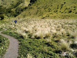 Gunung Merbabu, Pesona Kecantikan Abadi