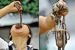 Telan Gurita Hidup-hidup, Wanita Asal Korea Selatan Ini Meninggal