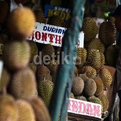 BUMN Ini Bangun Kebun Buah Raksasa 12 Ribu Hektar