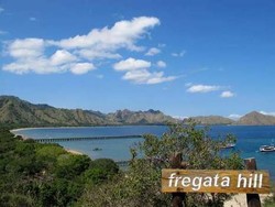  SBY: Sebagai Warisan Dunia, Kita Wajib Memelihara Pulau Komodo