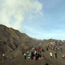 Pemkab Pasuruan Siapkan Wisata Kera di Gunung Bromo