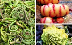 Oca, Kalrabi dan Samphire, Sayuran Tak Populer yang Hebat Nutrisinya 