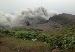 Warga Desa di Punggung Gunung Sinabung Ungsikan Ternak