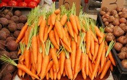 Mau Beli Wortel? Pilihlah dengan Cara Ini!