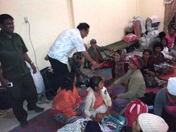 Pengungsi Gunung Sinabung Juga Khawatir Keselamatan Ternaknya