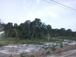 Pemandangan Tanah Mangkrak EksTambang Timah Hiasi Bumi Belitung