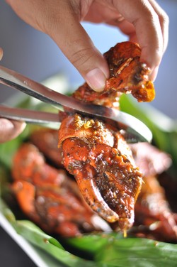 kepiting angin ribut