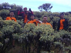 Mendaki Gunung Favorit di Jawa Barat