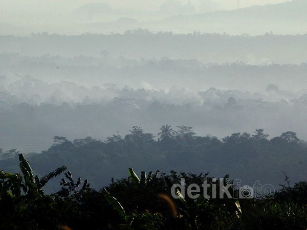 Sentul Berkabut di Pagi Hari