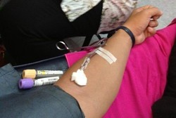 Ayo Bantu Sesama! Donor Darah Kini Sudah Menjadi Gaya Hidup