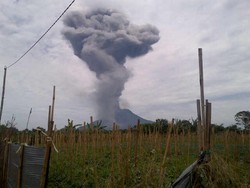 Gunung Sinabung Kembali Meletus