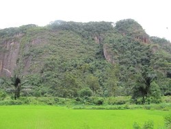 Turis Belanda Paling Gemar Traveling ke Sumatera Barat