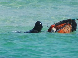Umur 75 Tahun, Nenek Korea Ini Diving Tanpa Tabung Oksigen