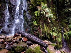 Wisata Seru di Curug Sewu Bogor