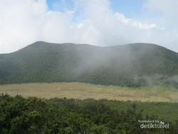 Terbius Pesona Puncak Gunung Gede