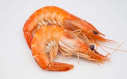 Udang Rebus Mudah Dikupas Dengan Trik Sederhana Ini