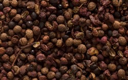 Inilah Alasan Andaliman Lebih Menyengat di Bibir Dibandingkan Merica