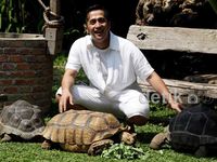 Serunya Irfan Hakim Bermain dengan Kura-kura