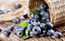Blueberry dan Anggur Terbukti Lebih Efektif Tingkatkan Imunitas