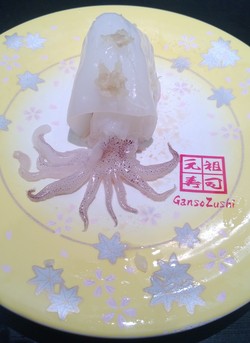 Fresh Delicious Sushi